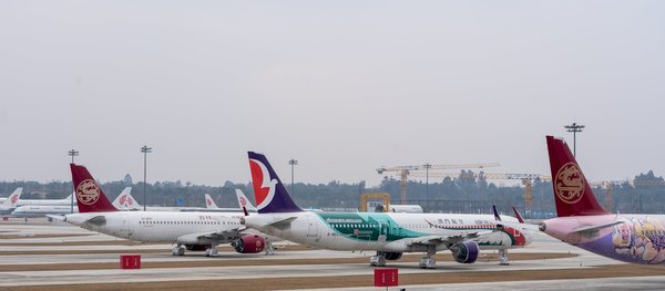 Où trouver les meilleures plages de sable noir pour la baignade à Hawaï?
