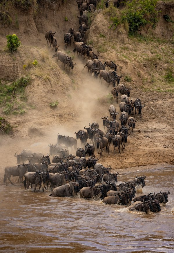 Quels sont les meilleurs spots pour observer la migration des gnous au Serengeti, Tanzanie?